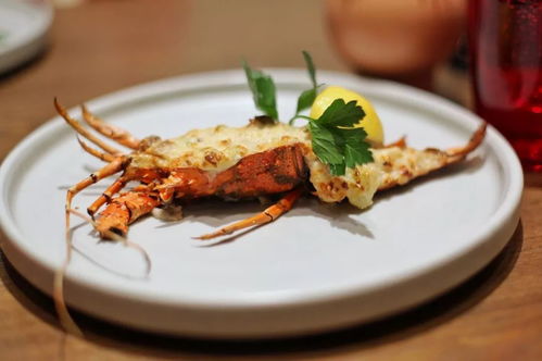 (梦境美食大赛探员难度)探寻梦境食旅:菜谱精研,美食文化探寻之旅 (梦境美食大赛探员难度)探寻梦境食旅:菜谱精研,美食文化探寻之旅