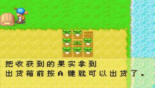 牧场物语矿石镇的伙伴们官方正版手游下载-牧场物语矿石镇的伙伴们红包版官方下载v.1.19